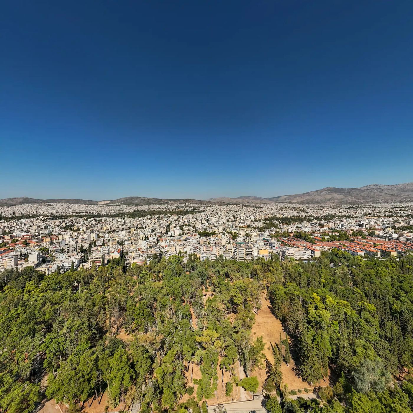 Orman parkı